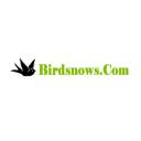 Birdsnows logo